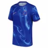 Chelsea Third Away Soccer Jersey 2024/25