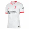 Liverpool Third Away Authentic Soccer Jersey 2024/25