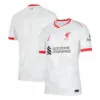 Liverpool Third Away Authentic Soccer Jersey 2024/25