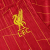CHAMPIONS #20 Liverpool Home Authentic Soccer Jersey 2024/25