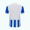 Camiseta de fútbol de primera equipación del Brighton & Hove Albion 2025/26-1