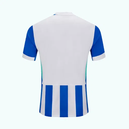 Camiseta de fútbol de primera equipación del Brighton & Hove Albion 2025/26-1