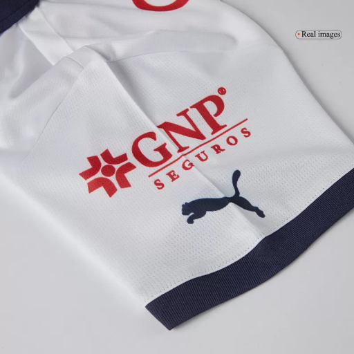 Chivas Away Soccer Jersey 2024/25-3