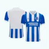 Camiseta de fútbol de primera equipación del Brighton & Hove Albion 2025/26-2