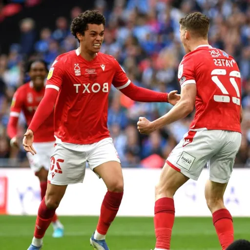 Nottingham Forest in the Premier League