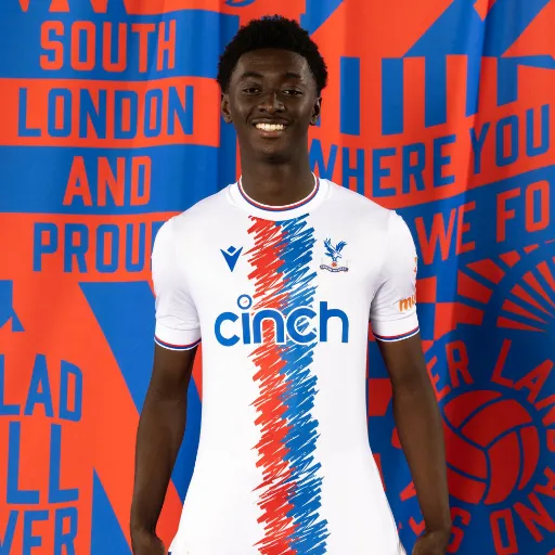 Purchasing Crystal Palace Jerseys Today