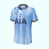 Tottenham Hotspur Away Soccer Jersey 2024/25