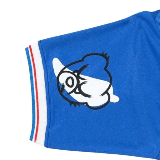 Camiseta de fútbol de primera equipación del Ipswich Town 2025/26