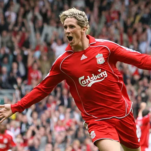 Fernando Torres