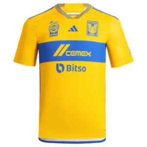 Introduction aux Tigres UANL