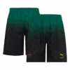 AC Milan Fourth Away Soccer Shorts Left-Side